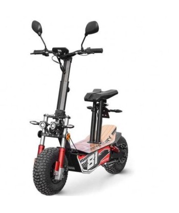 Scooter électrique homologué 2000W brillant des détails fins