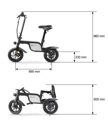 Draisienne électrique adulte pas cher chine