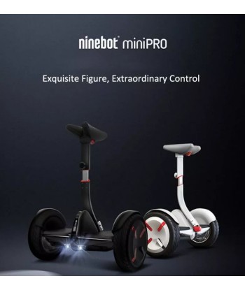 Ninebot N3M320 Segway Mini Pro occasion Les êtres humains sont 