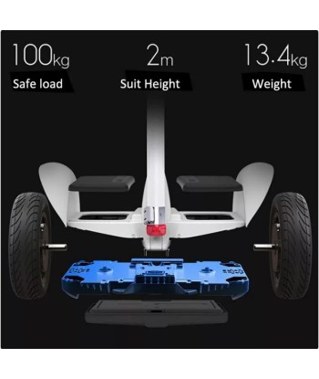 Ninebot N3M320 Segway Mini Pro occasion Les êtres humains sont 