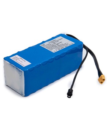 Batterie externe 36V 12.8Ah En savoir plus