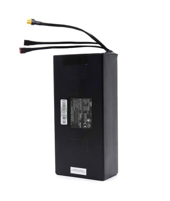 Batterie 48V 15,6 A/h pour urbanglide ou Smartgyro soldes