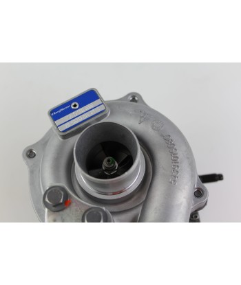 Turbocompresseur BorgWarner pour Dacia Sandero Renault Clio II III Kangoo... Les êtres humains sont 